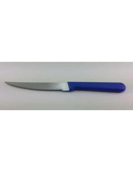 Cuchillo Carol Mesa M/plastico Azul